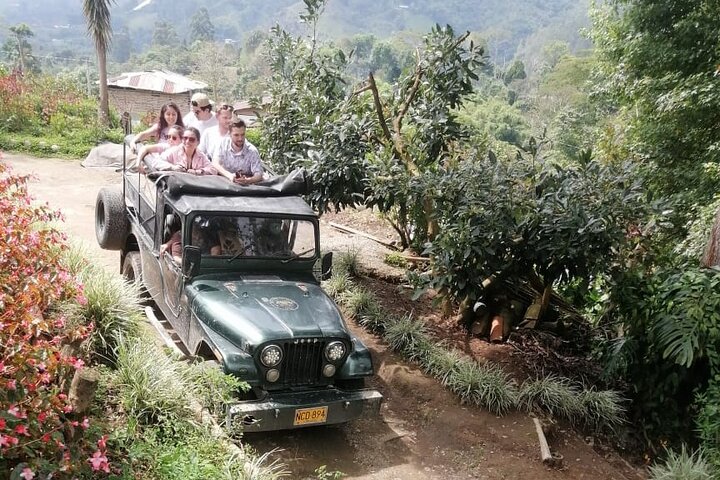 Cocora Valley, Salento and Coffee Farm Day Tour