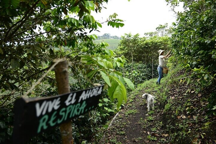 Farmers' Experience in San Agustin