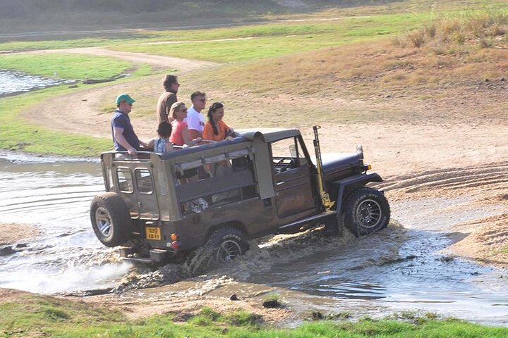 2 Day Tour of Yala & Ella with Hill Country Scenic Train Ride - All Inclusive