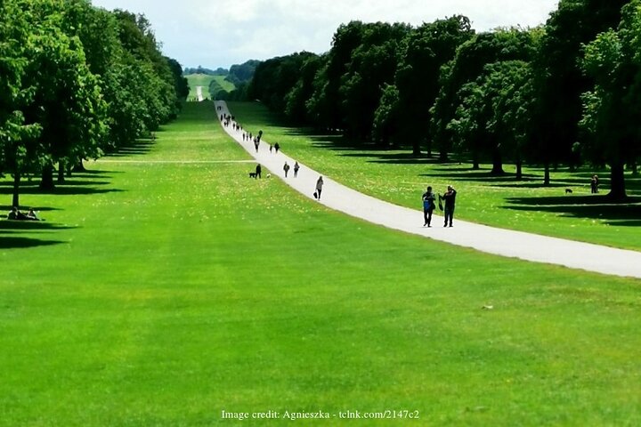 Windsor Castle & St George's Chapel Private 3-hour Walking Tour