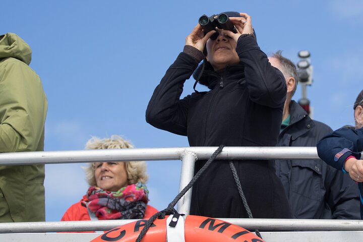 Summer Victoria Whale Watching Tour on a Covered Vessel