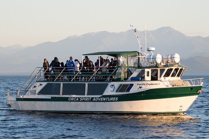 Summer Victoria Whale Watching Tour on a Covered Vessel