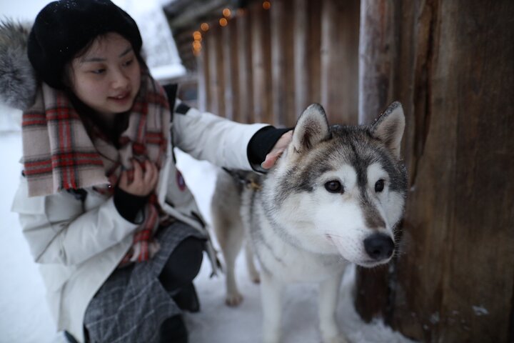 Santa Claus Village, Husky and Reindeers Combo Safari