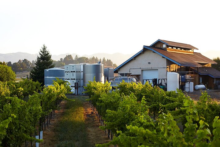 Private Sidecar Winery Tour through San Luis Obispo