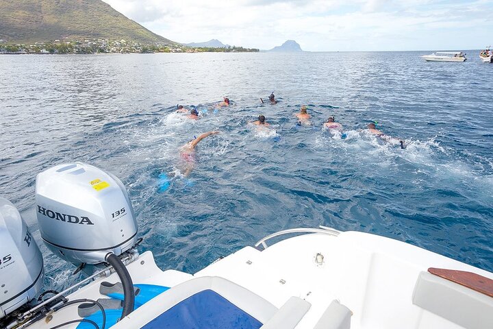 Dolphin Encounters, Ile aux Benitier & Crystal rock: Full-Day (Lunch & Transfer)