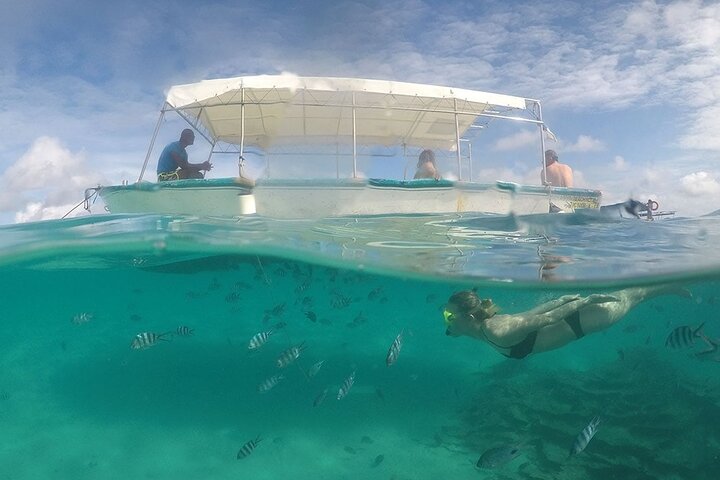 Full Day Tour 5 Island to Ile Aux Cerfs Incl. Lunch and Transfer