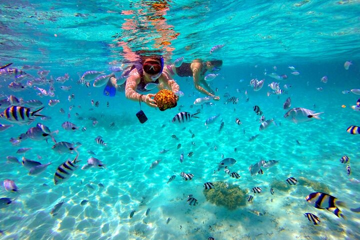Full Day Tour 5 Island to Ile Aux Cerfs Incl. Lunch and Transfer