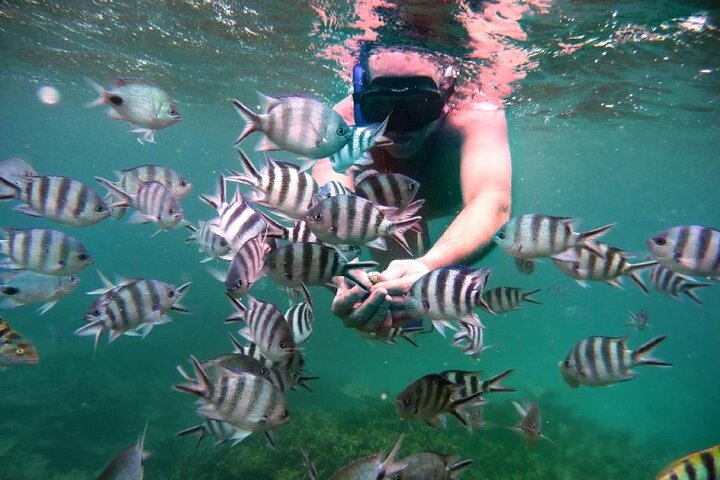 Full Day Tour 5 Island to Ile Aux Cerfs Incl. Lunch and Transfer