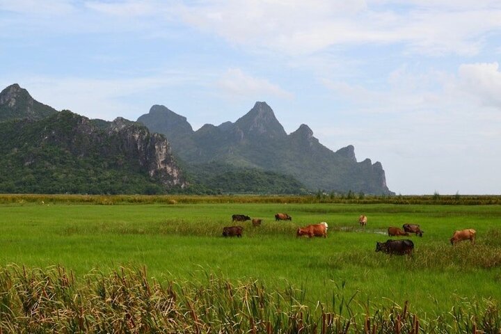 Sam Roi Yod National Park & Praya Nakhon Cave Private Tour from Hua Hin