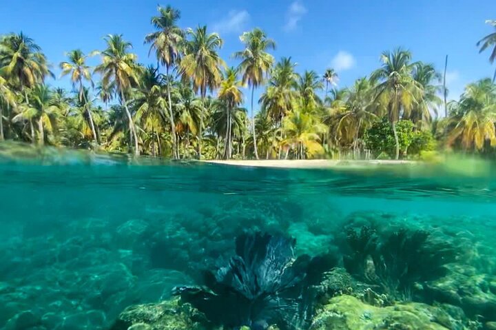 2 DAYS 2 NIGHTS All-Inclusive San Blas Islands on SAILBOAT