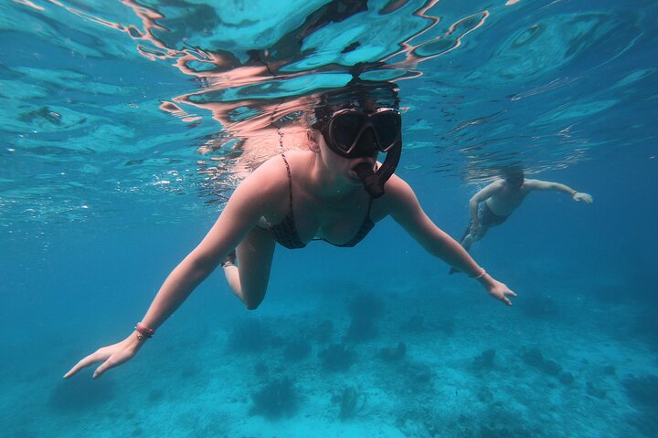 Snorkel Adventure at Bonaire Marine Park