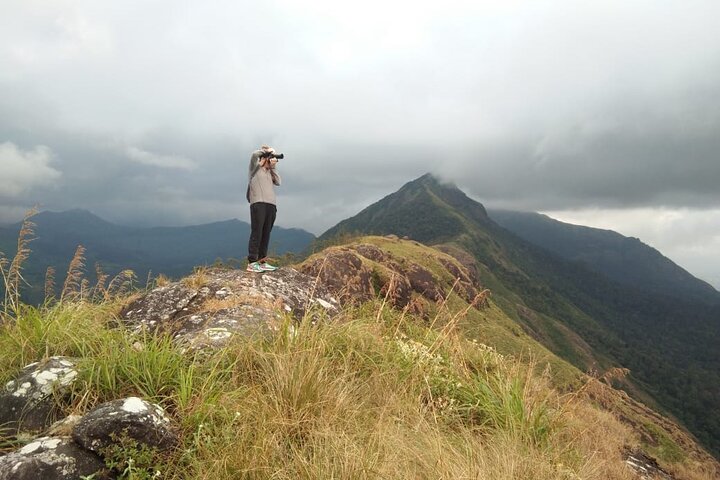 Mountain Hiking in Munnar (half day) By Munnar Info