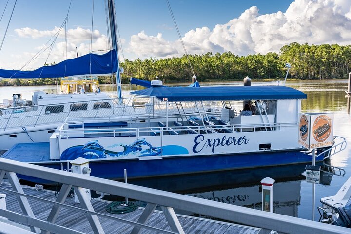 2-Hour Dolphin and Nature Eco Tour from Orange Beach