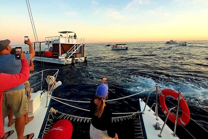 Cabo San Lucas Sunset Cruise with Open Bar and Snacks