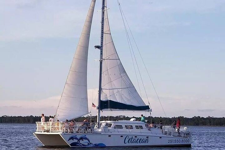 Orange Beach Dolphin Sailing Cruise aboard Catamaran
