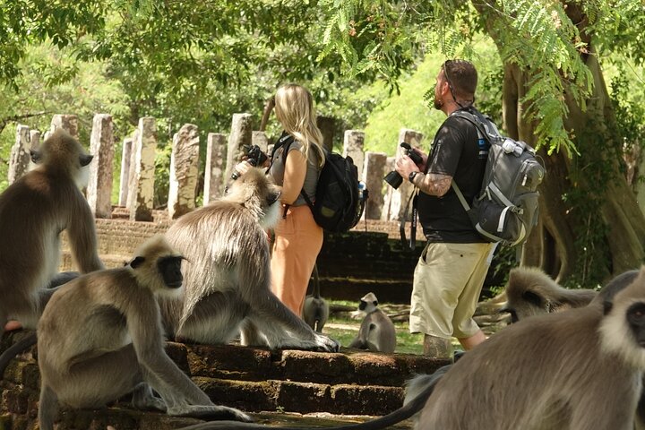 Half Day Safari Guided Tour