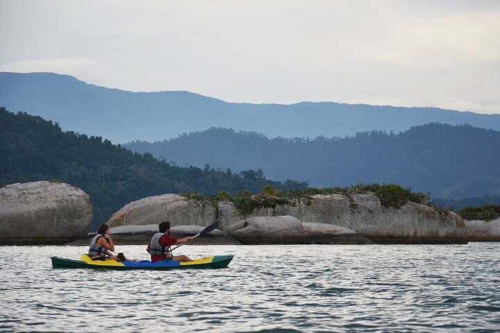 Kayaking Mangroves Natural reserve.