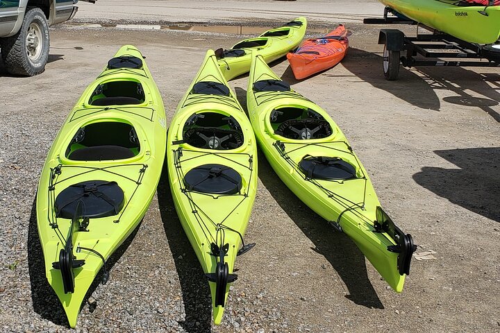 Kayak Tours