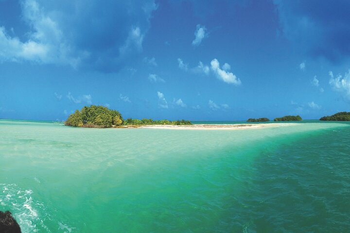 Visite guidée en français en bateau : Mangrove, ilets, snorkeling