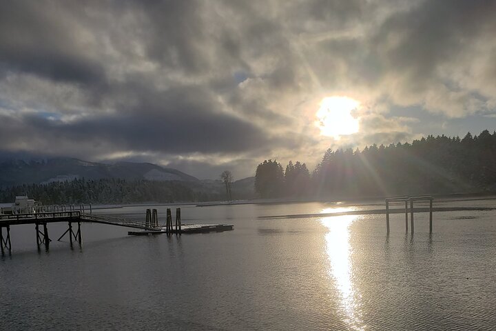Kayak Tours
