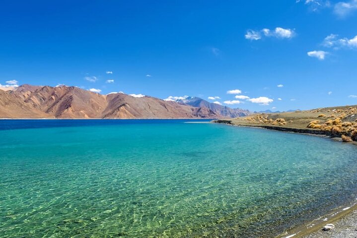 Ladakh Special Tours