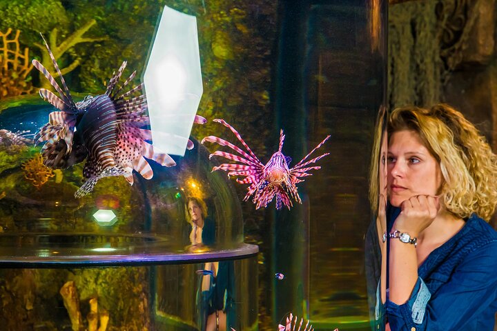 SEA LIFE Timmendorfer Strand Admission Ticket