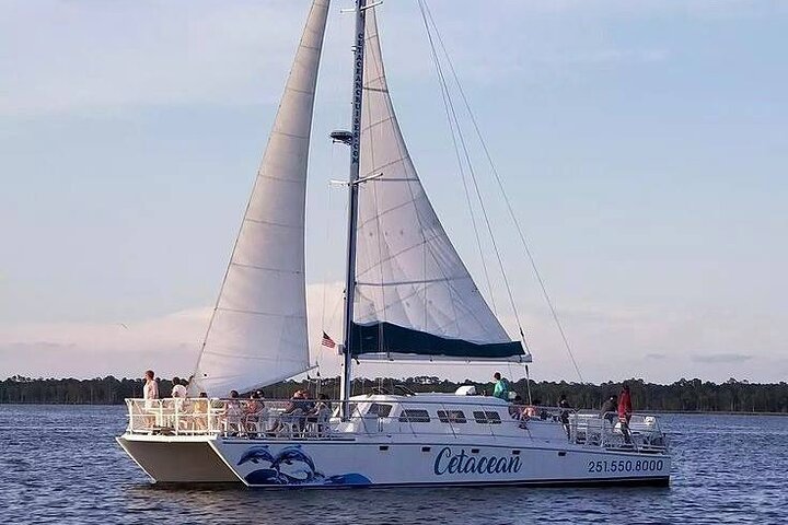 Orange Beach Sunset Sailing Cruise ADULT ONLY (13YRS+)