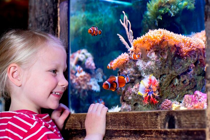 SEA LIFE Oberhausen Admission Ticket
