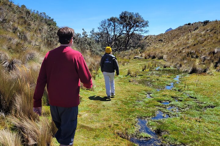 Cajas Unveiled: A Half-Day Escape from Cuenca