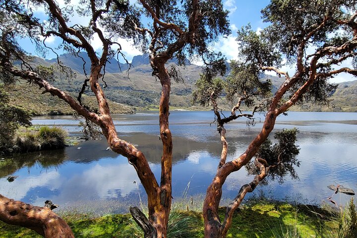 Cajas Unveiled: A Half-Day Escape from Cuenca