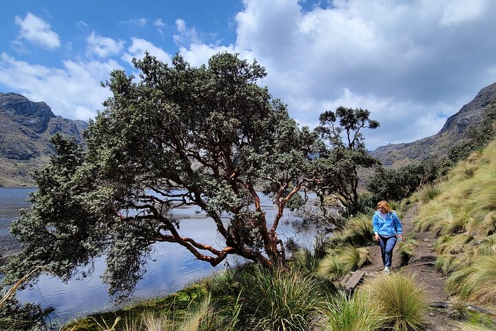 Cajas Unveiled: A Half-Day Escape from Cuenca