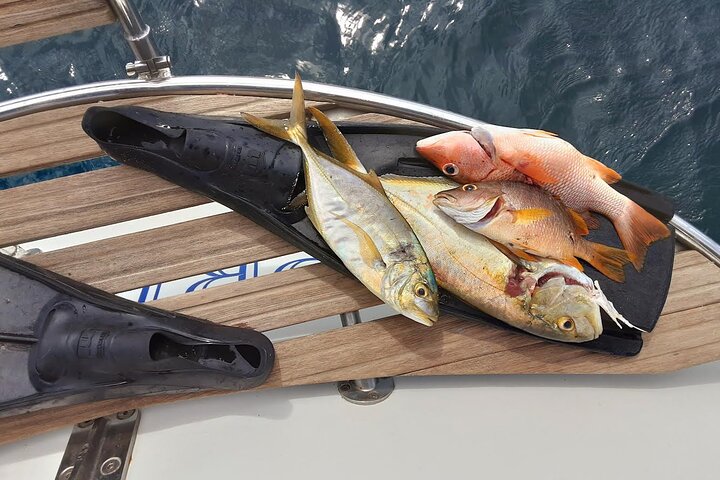 2 DAYS 2 NIGHTS All-Inclusive San Blas Islands on SAILBOAT