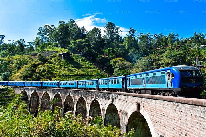 2 Day Tour of Yala & Ella with Hill Country Scenic Train Ride - All Inclusive