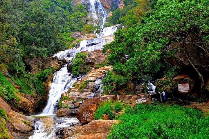 2 Day Tour of Yala & Ella with Hill Country Scenic Train Ride - All Inclusive