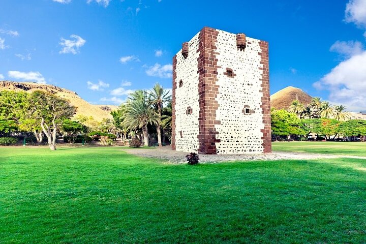 Full Day Guided Tour to La Gomera from Tenerife