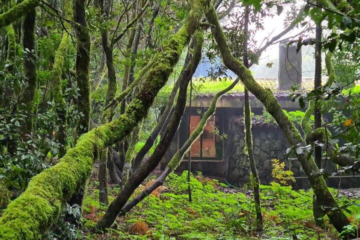 Full Day Guided Tour to La Gomera from Tenerife