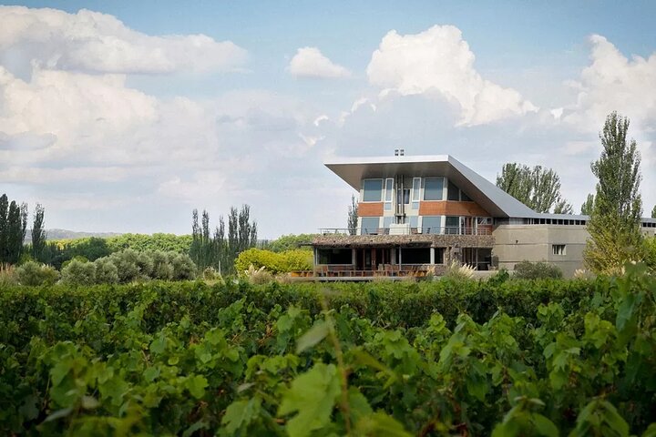 Luján de Cuyo Gourmet Wine Tour