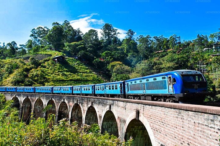 2 Day Tour of Udawalawe & Ella with Up Country Scenic Train Ride - All Inclusive