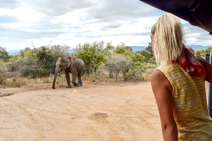 2 Days Tour of Double Safari (Yala & Udawalawe) - All Inclusive