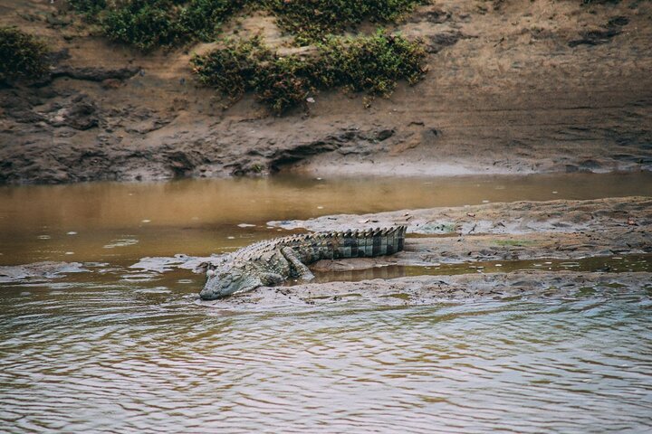 2 Days Tour of Double Safari (Yala & Udawalawe) - All Inclusive
