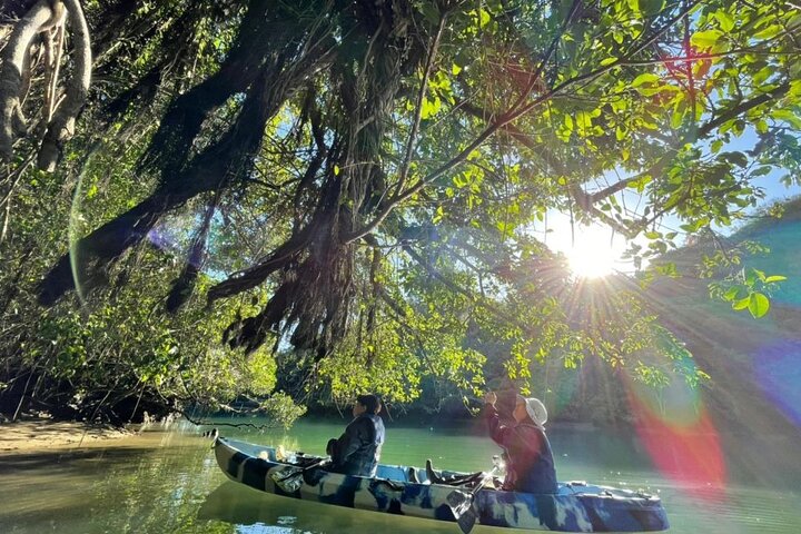 Mangrove kayaking to enjoy nature in Okinawa