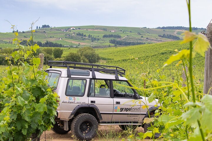 Private Douro 4x4 Adventure with Winery, Lunch & River Cruise