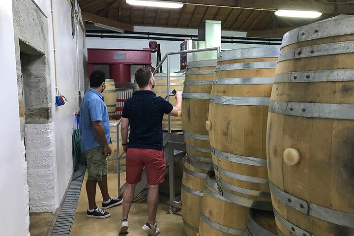 Private Douro 4x4 Adventure with Winery, Lunch & River Cruise