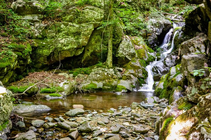 Shenandoah National Park Self-Guided Driving Audio Tour