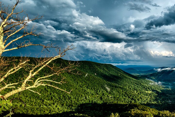 Shenandoah National Park Self-Guided Driving Audio Tour