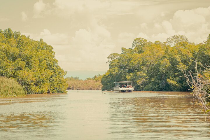 Appleton Estate YS Falls & Black River from Montego Bay or Negril