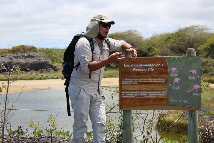 Day Tour to Isabela Island with Tintorera Islet, Snorkeling Wetlands & Flamingos