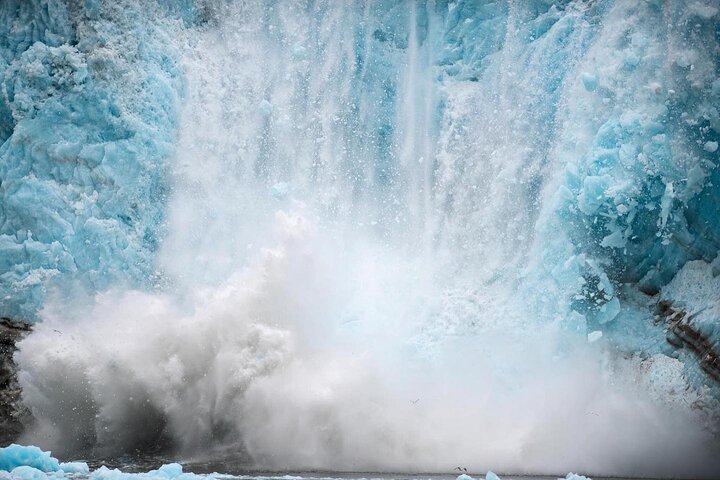 Kenai Fjords National Park Glacier & Wildlife Cruise