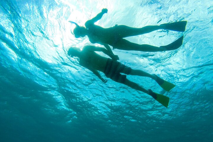 Deluxe Half-Day Snorkel Sail on Luxury Catamaran