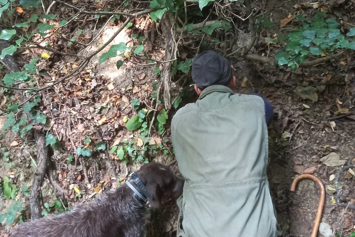 Langhe Truffle hunting Experience